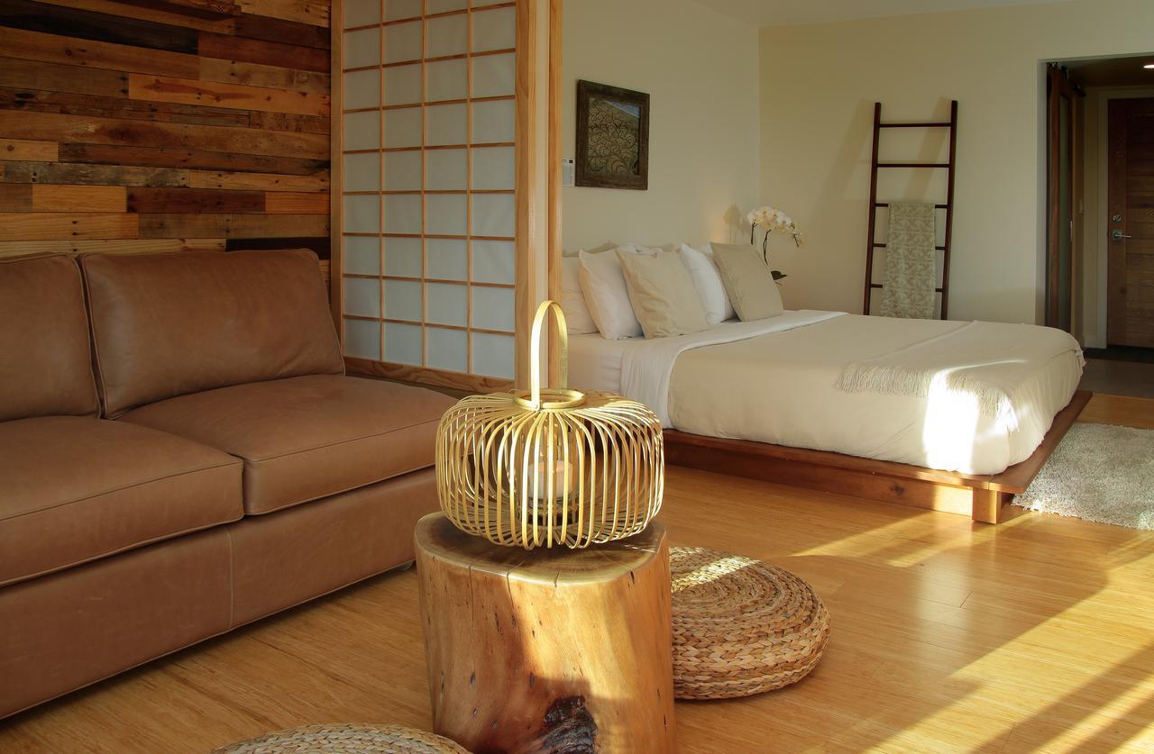 Inn At Moonlight Beach เอนซินีทัส ภายนอก รูปภาพ