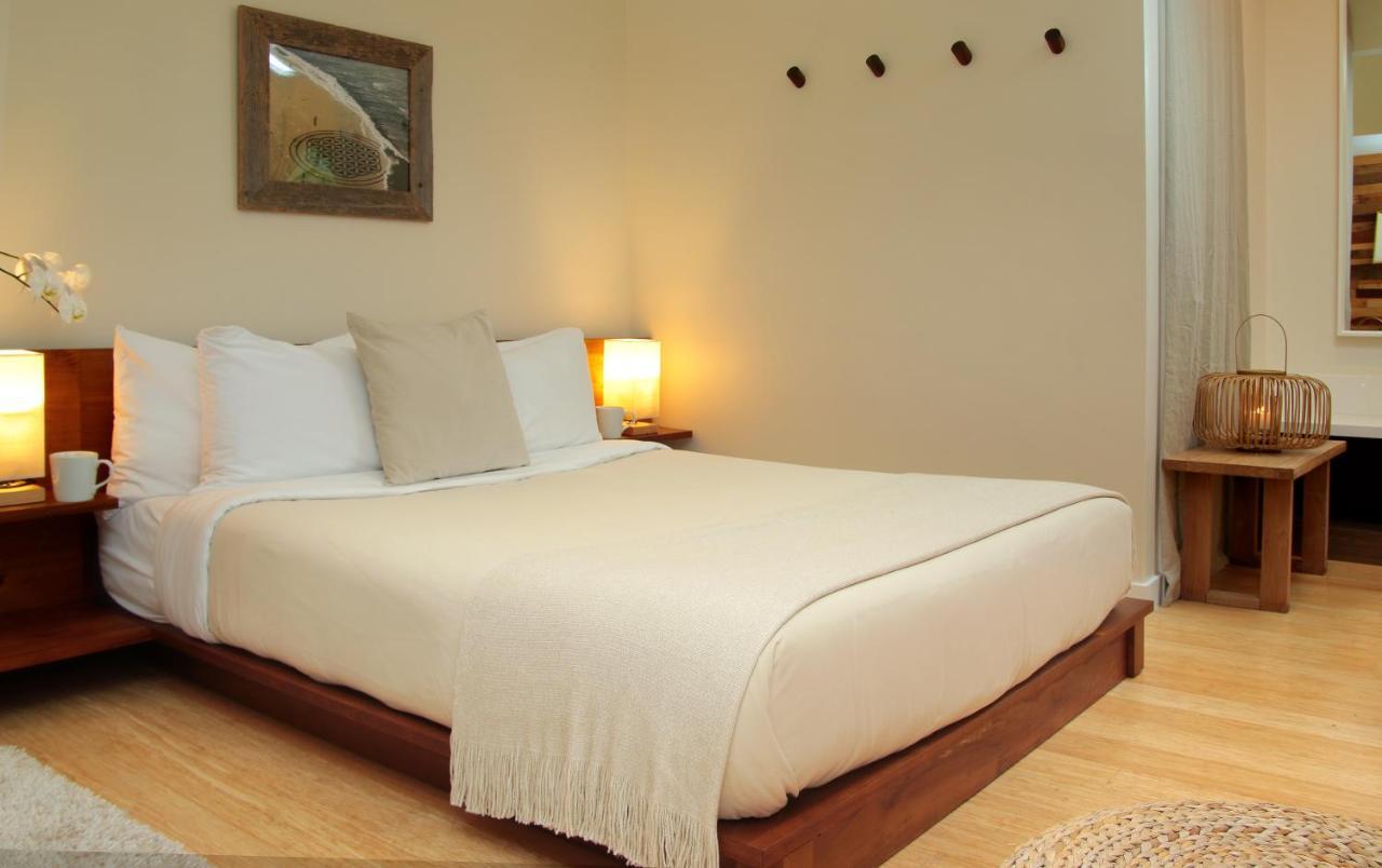 Inn At Moonlight Beach เอนซินีทัส ภายนอก รูปภาพ